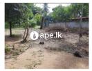 Lands For Sale In GANEMULLA